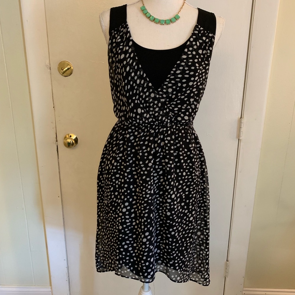 Express Black and White Dress with Open Back